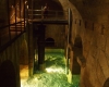 Der-Ursprung-des-Wiener-Hochquellwassers-liegt-in-Kaiserbrunn©Wolfgang-Muhr