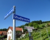 Eltendorf-gilt-als-Heimat-des-Uhudlers-c-Alexandra-Gruber