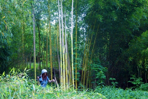 Unterwegs-im-größten-Bambuswald-Österreichs-©-Wolfgang-Muhr